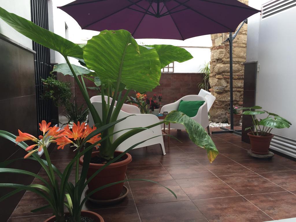 San Juan Apartamento 赫雷斯 外观 照片